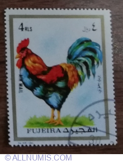 Image #1 of 4 Riyal 1972 -  Animals  - Rooster (Gallus gallus domesticus)
