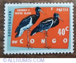 40 Centime 1963 -  Protected birds - Abdim's Stork (Ciconia abdimii)