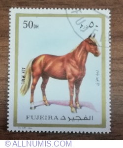 Image #1 of 50 Dirham 1972 -  Animals - Horse (Equus ferus caballus)