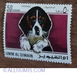 50 Dirham 1967 - Dogs -  Basset Hound (Canis lupus familiaris)