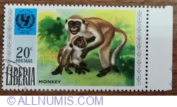 Image #1 of 20 Cent 1971 - Unicef ​​- Maimuță Grivet (Cercopithecus sp.)