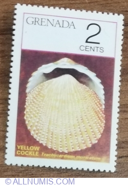 Image #1 of 2 Cents 1975 - Seashells - Yellow Cockle (Trachycardium muricatum)