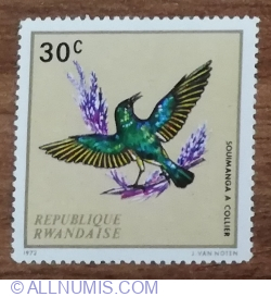 Image #1 of 30 Santime 1972 - Native Birds - Collared Sunbird (Hedydipna collaris)
