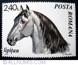 2.40 Lei - Lipizzan Horse - Lipitan