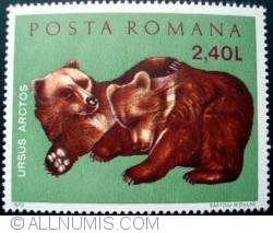 2.40 Lei - Brown Bear (Ursus arctos)