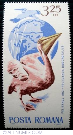 3.25 Lei - Pelican (Pelecanus onocrotalus)