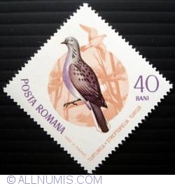 40 Bani 1965 - European Turtle Dove (Streptopelia turtur)