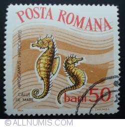 50 Bani 1964 - Calut de mare (Hippocampus hippocampus)