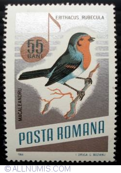 55 Bani - European Robin (Erithacus rubecula)