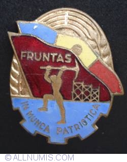 Image #1 of Fruntas in munca patriotica