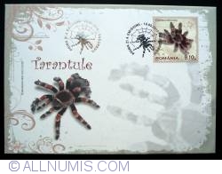 Image #2 of Tarantule