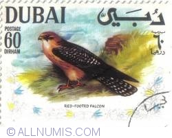 Image #1 of 60 dirham Red-footed Falcon