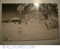 Image #1 of Semenic Mountain - Winter Landscape