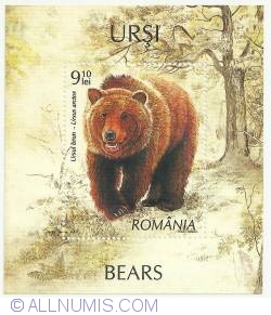 Image #1 of 9.10 Lei - The Brown Bear (Ursus arctos)