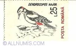25 Lei - Dendrocopos major