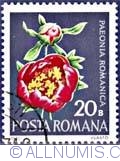 20 Bani - Paeonia romanica
