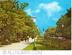 Image #1 of Zimnicea - Parcul (1968)
