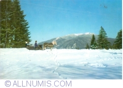 Image #1 of Predeal - Peisaj de iarnă (1971)