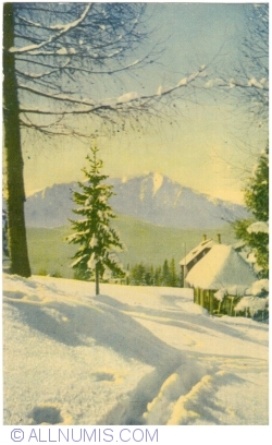 Image #1 of Cabană în munți