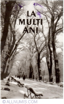 Image #1 of București - Iarna în Parcul Libertății (La mulți ani!)