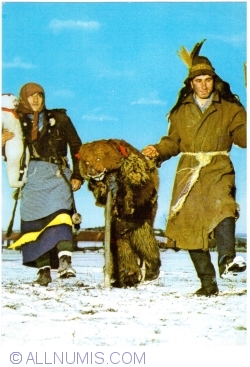 Image #1 of Bear (1968)