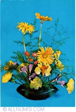Flowers (1972)