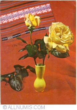 Image #1 of Yellow rose (1971)