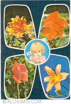Flowers (1975)