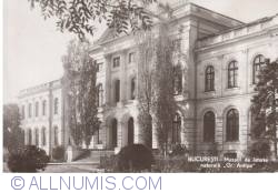 Image #1 of Muzeul Național de Istorie Naturală ”Grigore Antipa” - București