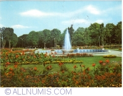 Image #1 of Roman - Vedere din parc (1974)