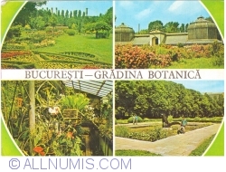 Image #1 of Bucharest - Botanical Garden (1977)