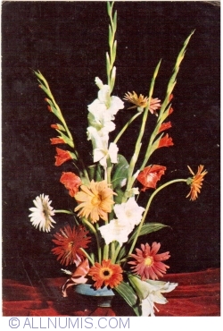 Image #1 of Flori (1982)