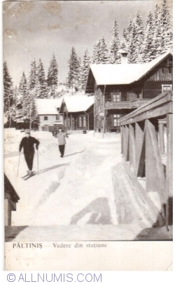 Image #1 of Păltiniș - View (1965)