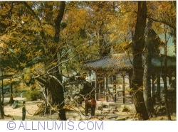 Image #1 of Beijing - Fragrant Hills Park ( 香山公园) - Sleeping Budha Temple
