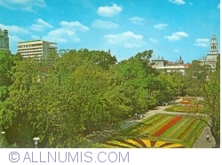 Image #1 of Arad - View of the park