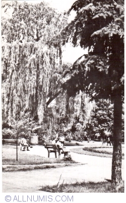 Bacău - Park view (1965)