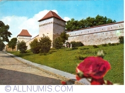 Târgu Mureș - Fortress