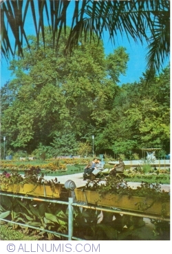 Image #1 of Buziaş - Parcul băilor (1972)