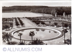 Image #1 of Versailles - Orangery and Swiss's Lake (L'orangerie et Piece d'eau des Suisses)