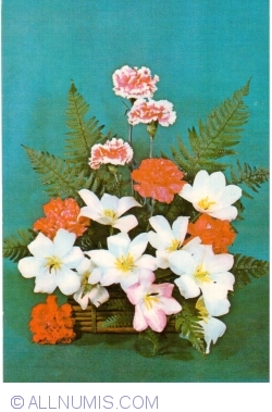 Flowers (1973)