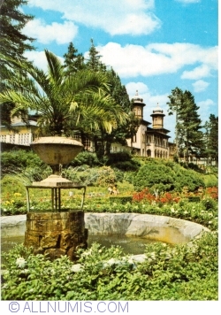 Image #1 of Slănic Moldova - View (1973)