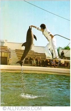 Constanta - Dolphinarium