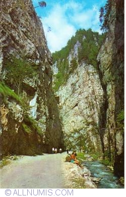 Image #1 of Dâmbovicioara Gorges