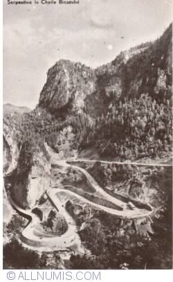 Image #1 of Bicaz Gorges - Serpentine