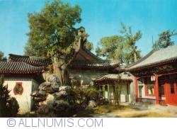 Beijing - Parcul Beihai - Pavilionul copacului bătrân