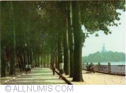 Image #1 of Beijing - Beihai Park - Tree lined avenue