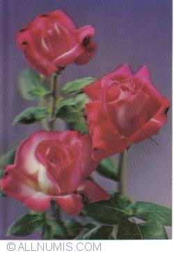 Image #1 of Roses