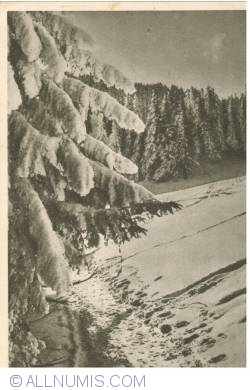 Image #1 of Bucegi Mountains - Winter Landscape