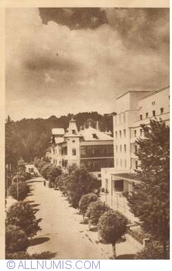 Image #1 of Govora -  Tudor Vladimirescu Avenue