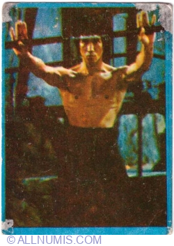 Image #1 of 10 - Bruce Lee